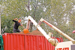 新蔡：高粱红满天 机械收割忙