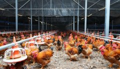 <b>贵州省清镇市“十四五”农业农村成长交出亮眼</b>